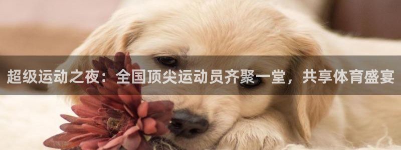 东升国际注册登录入口：超级运动之夜：全国顶尖运动员齐聚一堂，共享体育盛宴