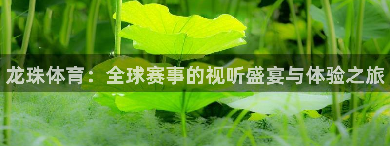 东升国际在线登录：龙珠体育：全球赛事的视听盛宴与体验之旅