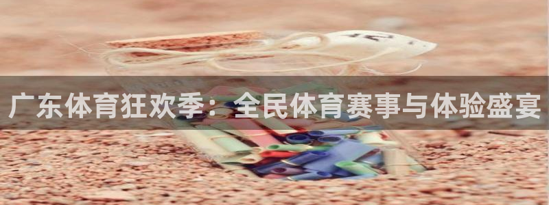 东升国际平台app官网：广东体育狂欢季：全民体育赛事与体验盛宴