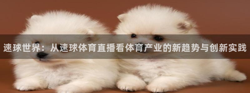 东升国际app下载手机版下载：速球世界：从速球体育直播看体育产业的新趋势与创新实践