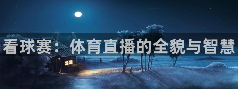 东升国际app下载手机版下载：看球赛：体育直播的全貌与智慧