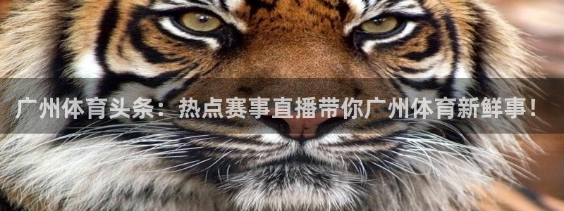pg东升国际官网入口：广州体育头条：热点赛事直播带你广州体育新鲜事！
