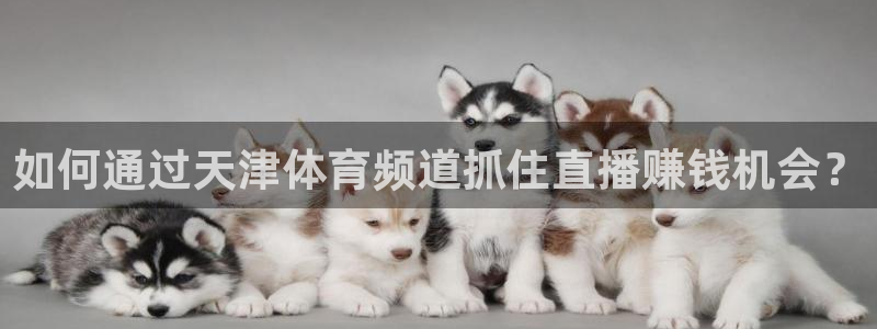 东升国际app下载手机版下载：如何通过天津体育频道抓住直播赚钱机会？