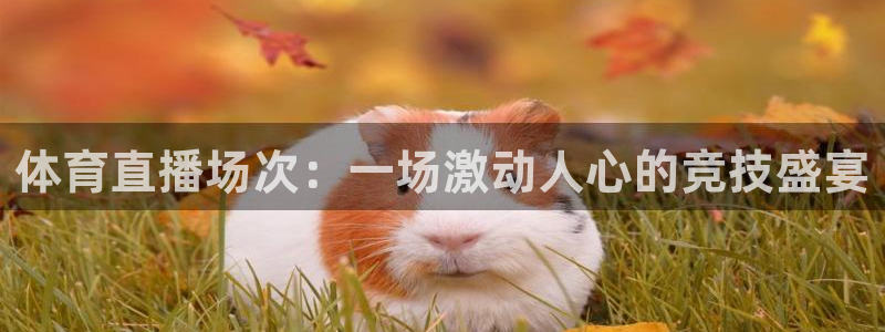 东升国际ds官网入口：体育直播场次：一场激动人心的竞技盛宴