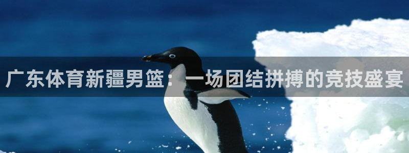 东升国际app下载安装：广东体育新疆男篮：一场团结拼搏的竞技盛宴