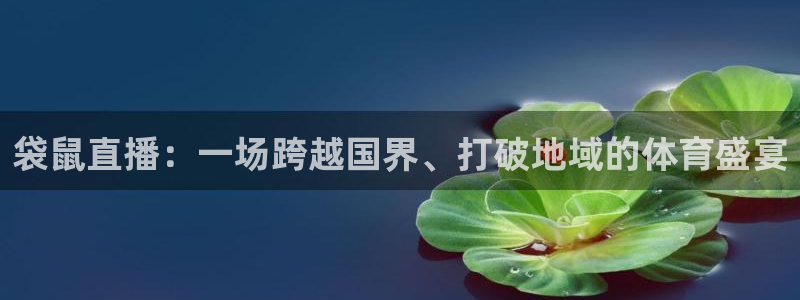 东升国际旅行社：袋鼠直播：一场跨越国界、打破地域的体育盛宴
