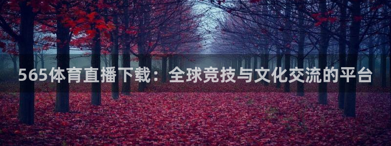 东升国际app入口网页版：565体育直播下载：全球竞技与文化交流的平台